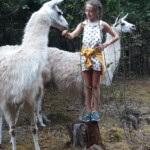 Gentle Creature loire valley llama farm stay